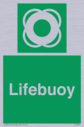 lifebuoy~