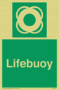 lifebuoy~