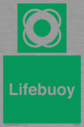 lifebuoy~