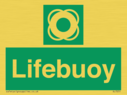 lifebuoy~