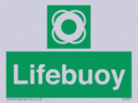 lifebuoy~