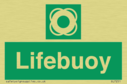 lifebuoy~