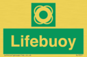 lifebuoy~