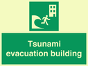 tsunami-evacuation-building~