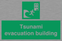 tsunami-evacuation-building~