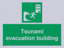 tsunami-evacuation-building~