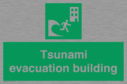 tsunami-evacuation-building~