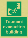 tsunami-evacuation-building~