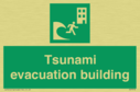 tsunami-evacuation-building~
