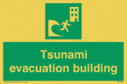tsunami-evacuation-building~