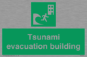 tsunami-evacuation-building~