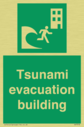 tsunami-evacuation-building~