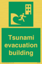 tsunami-evacuation-building~
