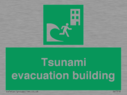 tsunami-evacuation-building~