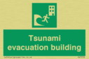 tsunami-evacuation-building~