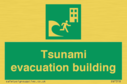 tsunami-evacuation-building~