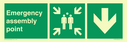 emergency-assembly-point-directional-down-arrow~
