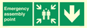 emergency-assembly-point-directional-down-arrow~