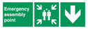 emergency-assembly-point-directional-down-arrow~