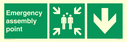 emergency-assembly-point-directional-down-arrow~