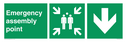 emergency-assembly-point-directional-down-arrow~