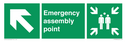 emergency-assembly-point-directional-down-up-left-arrow~