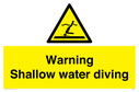warning-shallow-water-diving~