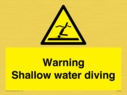 warning-shallow-water-diving~