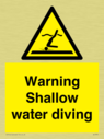 warning-shallow-water-diving~