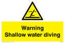 warning-shallow-water-diving~