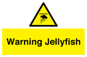 warning-jellyfish~