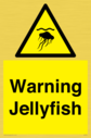warning-jellyfish~