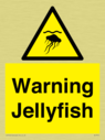 warning-jellyfish~
