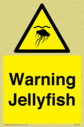 warning-jellyfish~