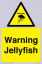 warning-jellyfish~