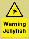 warning-jellyfish~
