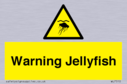 warning-jellyfish~