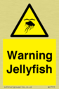 warning-jellyfish~