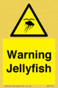 warning-jellyfish~