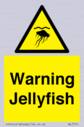 warning-jellyfish~