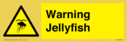 warning-jellyfish~