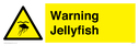 warning-jellyfish~