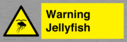 warning-jellyfish~