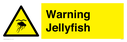 warning-jellyfish~