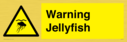 warning-jellyfish~