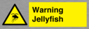 warning-jellyfish~
