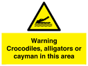 warning-crocodiles-alligators-or-cayman-in-this-area~