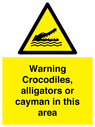 warning-crocodiles-alligators-or-cayman-in-this-area~