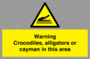 warning-crocodiles-alligators-or-cayman-in-this-area~