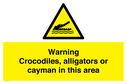 warning-crocodiles-alligators-or-cayman-in-this-area~